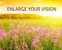 Enlarge your vision